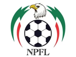 Gbenga Elegbeleye, has said referees in the Nigerian topflight will begin to use gadgets to aid their officiating next season as part of efforts by the league board to improve the NPFL.