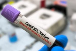 Federal Government dismisses presence of COVID-19 variant XEC in Nigeria, reassures citizens